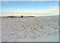 Fields north of Washdyke Road