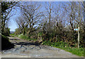 Track and public footpath south of Mead, Devon