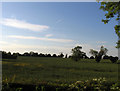 Field north of Burnmill Road