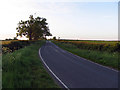 SP7491 : Bowden Road towards Thorpe Langton by Andrew Tatlow