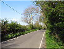 TL6230 : Towards Bardfield End Green by Andrew Tatlow