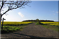 Public footpath and track towards the woods