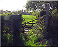 Footpath and stile from the road