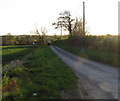 Parsonage Lane towards Great Sampford