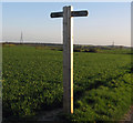 Footpath sign on Parsonage Farm Lane