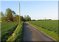 Parsonage Farm Lane towards Parsonage Farm