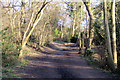 TQ2796 : Monken Hadley Common footpath eastwards by Andrew Tatlow