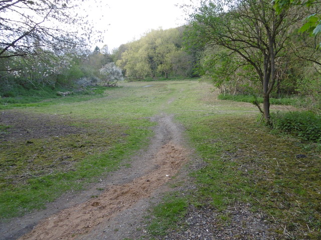 Woods Meadow, Leybourne Woods