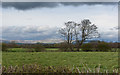 Sunlight and snow on the distant hills