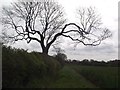 Footpath to Top Farm