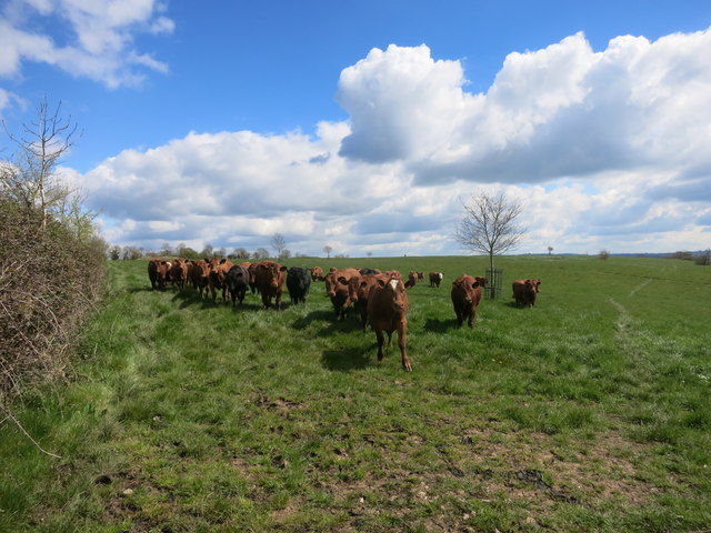 We're right behind you © Des Blenkinsopp cc-by-sa/2.0 :: Geograph ...