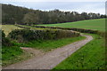 Path at Springvale, just west of the railway arch