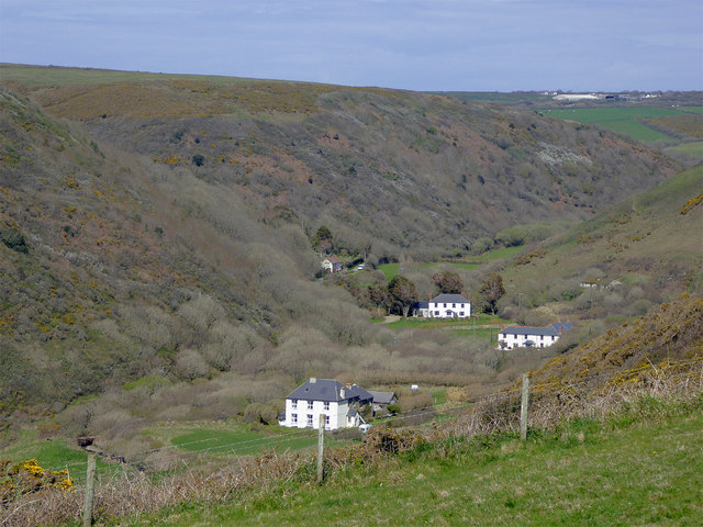 Wooded valley west of Welcombe, Devon