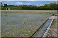 Watercress beds at Headbourne Worthy