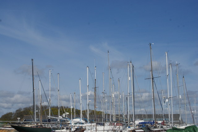 View of a plethora of masts in the Marina from the Marina car park #4