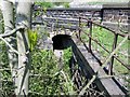 Footpath, River Aire, Calverley, Leeds