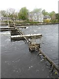 M2925 : Former salmon trap on the River Corrib by Oliver Dixon