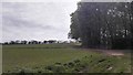 SU6056 : Farmland at Kiln Green by James Emmans