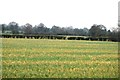 Arable land by Four Oaks Rd