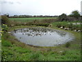 Pond near Heath Farm