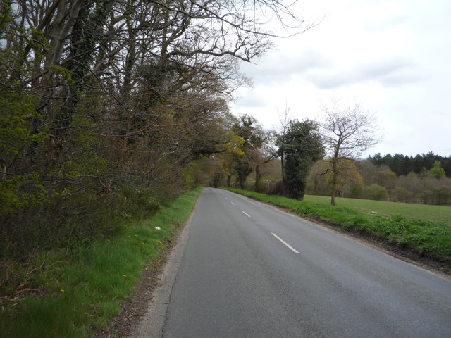 Heading north east beside Blackhill Wood