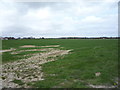 Crop field off Plumstead Road