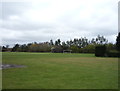 Sports field, South Walsham