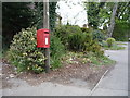 Elizabeth II postbox on Cattlegate Road