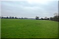 Field by Headcorn Aerodrome