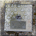 J4981 : Drain cover, Bangor by Mr Don't Waste Money Buying Geograph Images On eBay
