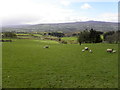 Garvagh Townland