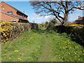 Footpath - Glebe Field Drive