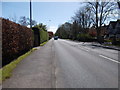 Spofforth Hill - viewed from Chatsworth Drive