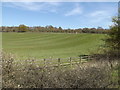 TL1814 : Fields off B653 Cory-Wright Way by Geographer