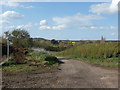 Footpath and Bridleway Junction