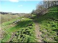 Footpath in the old lane to Hand Carr Mill, Luddendenfoot