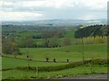 View over the valley of the Teme