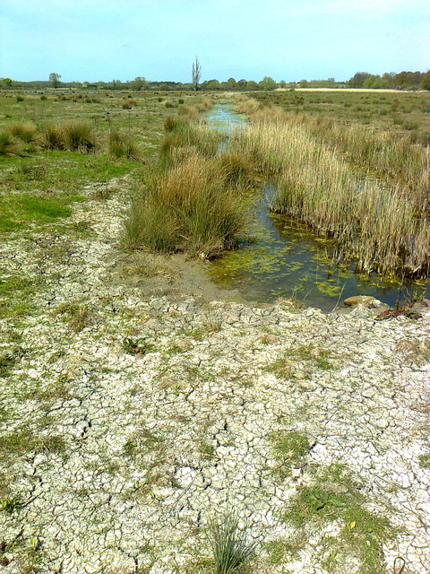 Wetlands at Pendock