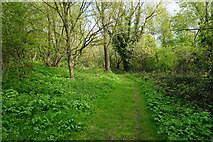 TQ2967 : Path on Mitcham Common by Bill Boaden