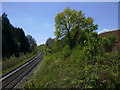 Looking south on railway from Hackenden Lane bridge