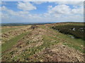 Castle-an-Dinas hillfort