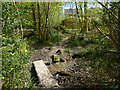 Stream crossing in Ashplats Wood