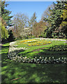 Nottingham Arboretum: spring bedding