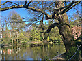 A May morning in The Arboretum