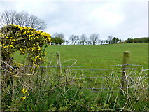 H5657 : Tycanny Townland by Kenneth  Allen
