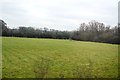 Grassland by Burnthouse Lane