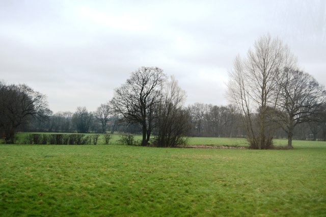 Wooded pond © N Chadwick :: Geograph Britain and Ireland