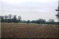 Ploughed field