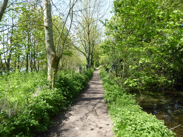 The Thames Path near Ashton Keynes