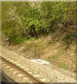 View of the railway cutting from a stationary train, south of Blatchbridge